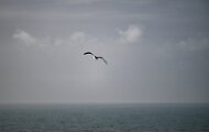 LMB_3255